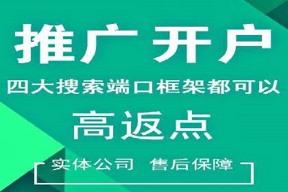 某行业SEM竞价策略的运营实践与效果
